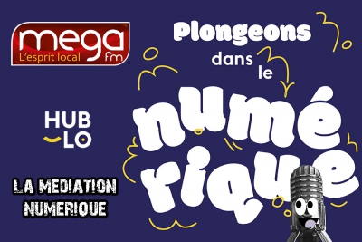 Plongeons dans le numérique - La médiation numérique c&#039;est pour moi ? avec Pascal Plantard