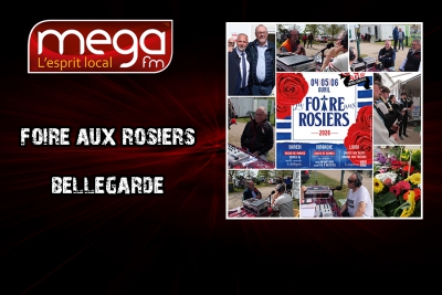 Circulez y'a tout &agrave; voir en direct de la Foire aux Rosiers de Bellegarde