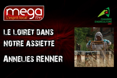 LLDNA - Annelies RENNER