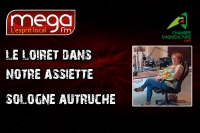 LLDNA - Sologne Autruche