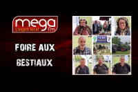 Circulez y'a tout à voir en direct de la Foire aux bestiaux de Sully-sur-Loire