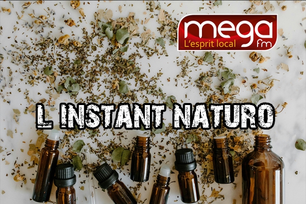 L&#039;instant Naturo - Les huiles essentielles