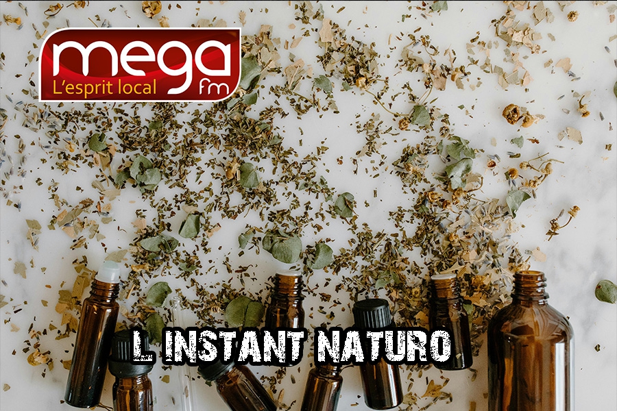 L&#039;instant Naturo - Les légumes crucifères