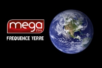 Fréquence Terre : L'Ortie