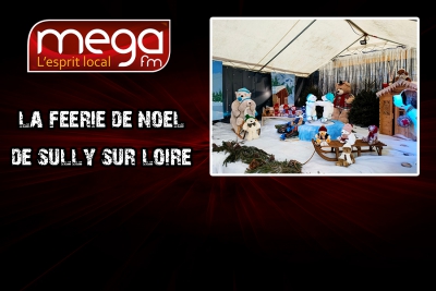 Circulez y&#039;a tout à voir en direct de la Féérie de Noël de Sully-sur-Loire