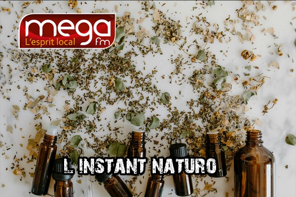 L&#039;instant Naturo - Les médecines douces
