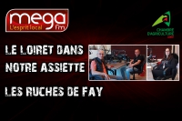 LLDNA - Les Ruches de Fay