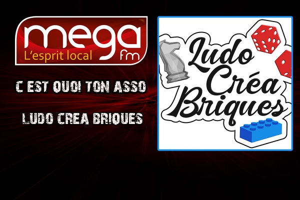 C&#039;est Quoi Ton Asso : Ludo Créa Briques