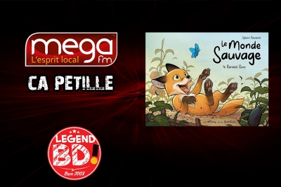 Ca Pétille - Le monde sauvage : le renard roux