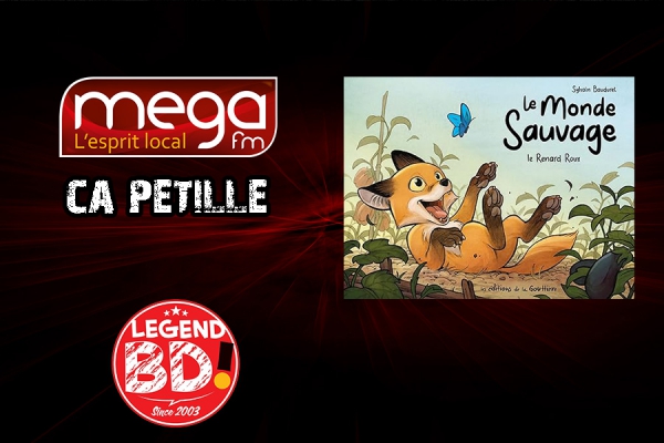 Ca Pétille - Le monde sauvage : le renard roux
