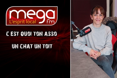 C&#039;est Quoi Ton Asso : Un Chat un Toit