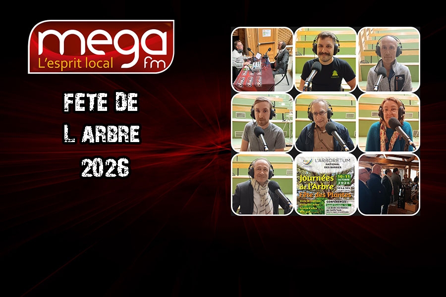 Circulez y'a tout &agrave; voir en direct de la F&ecirc;te de l'arbre &agrave; Nogent sur Vernisson