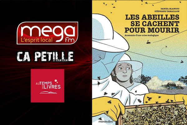 Ca P&eacute;tille - Les abeilles se cachent pour mourir Anatomie d&rsquo;une crise &eacute;cologique